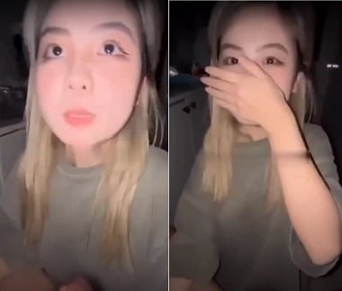 Brown -Haired Student BJ Puppy как специалист